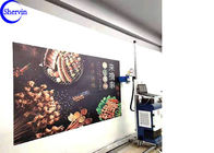 Impresora mural de la pared inteligente del CE de CMYK Shervin 3d