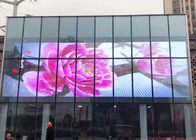 Exhibición llevada transparente interior de la publicidad larga del curso de la vida con la pared de cortina de cristal